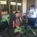 kids planting plants outside school.
